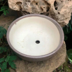 Exotic Metallic Bonsai Ceramic Pot (Medium) -Plant Life Decor Shop IMG 1613