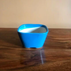 Square Bonsai Ceramic Planter -Plant Life Decor Shop IMG 2571