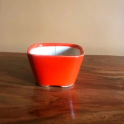 Square Bonsai Ceramic Planter -Plant Life Decor Shop IMG 2572