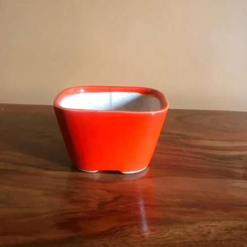 Square Bonsai Ceramic Planter -Plant Life Decor Shop IMG 2572