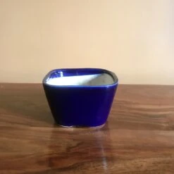 Square Bonsai Ceramic Planter -Plant Life Decor Shop IMG 2574 2a9403e5 3d92 4438 b6f3 28a13928b167