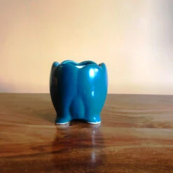 Sacred Lotus Ceramic Planter -Plant Life Decor Shop IMG 2580