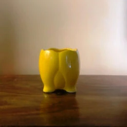 Sacred Lotus Ceramic Planter -Plant Life Decor Shop IMG 2582