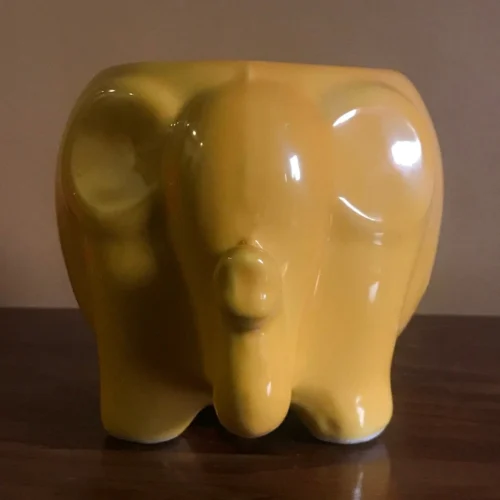 Royal Elephant Ceramic Planter -Plant Life Decor Shop IMG 2599