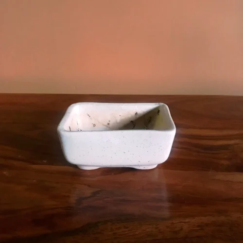 Rectangular Bonsai Ceramic Tray Set -Plant Life Decor Shop IMG 2619