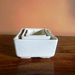 Rectangular Bonsai Ceramic Tray Set -Plant Life Decor Shop IMG 2621