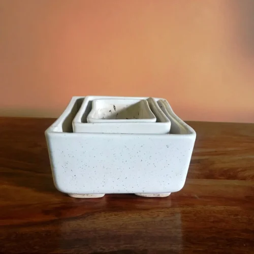 Rectangular Bonsai Ceramic Tray Set -Plant Life Decor Shop IMG 2621