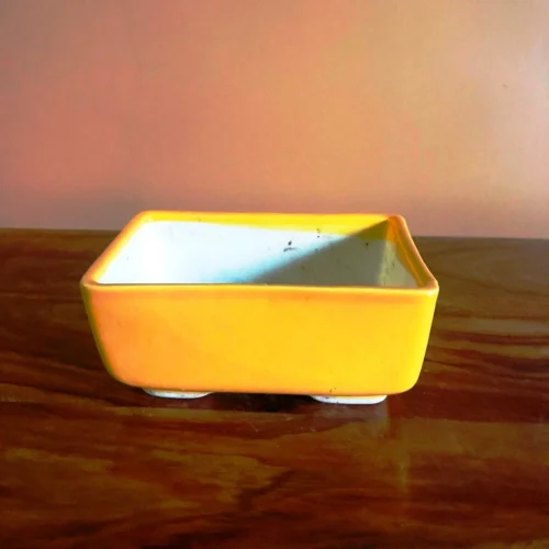 Rectangular Bonsai Ceramic Tray Set -Plant Life Decor Shop IMG 2632