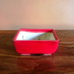 Rectangular Bonsai Ceramic Tray Set -Plant Life Decor Shop IMG 2639