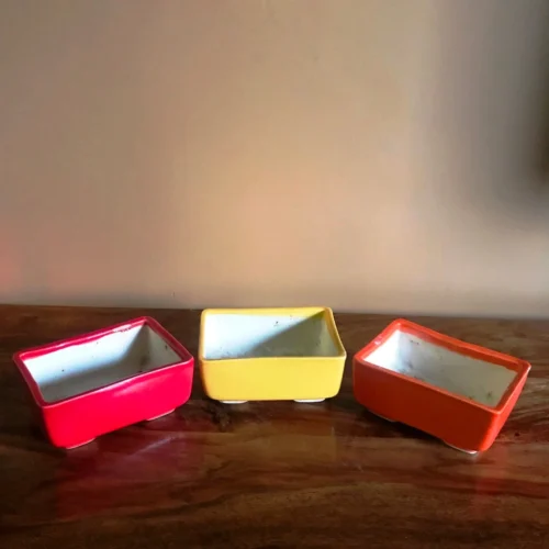 Rectangular Bonsai Ceramic Tray Set -Plant Life Decor Shop IMG 2644