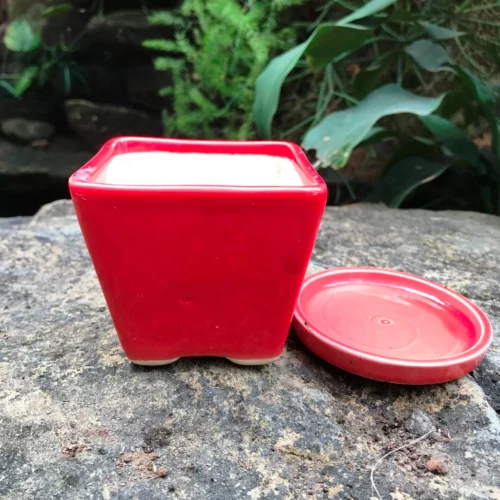 On The Move Ceramic Pot With Tray -Plant Life Decor Shop IMG 7705