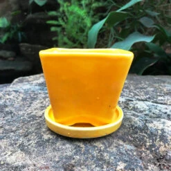 On The Move Ceramic Pot With Tray -Plant Life Decor Shop IMG 7706