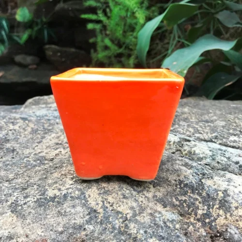 On The Move Ceramic Pot With Tray -Plant Life Decor Shop IMG 7712