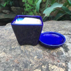 On The Move Ceramic Pot With Tray -Plant Life Decor Shop IMG 7720