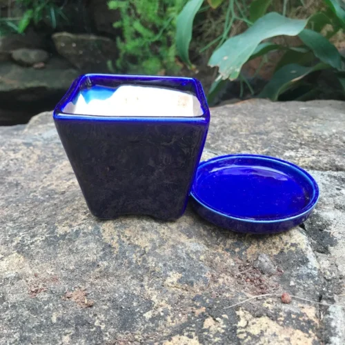 On The Move Ceramic Pot With Tray -Plant Life Decor Shop IMG 7720