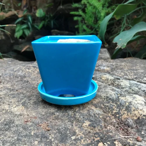 On The Move Ceramic Pot With Tray -Plant Life Decor Shop IMG 7721