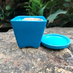 On The Move Ceramic Pot With Tray -Plant Life Decor Shop IMG 7722