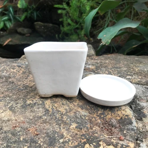 On The Move Ceramic Pot With Tray -Plant Life Decor Shop IMG 7724