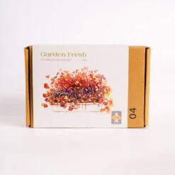 DIY Microgreen Kit-The Herb & Leaf Medley Collection