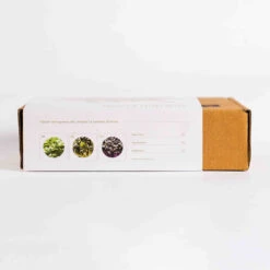 DIY Microgreen Kit-The Nutri-Green Boost Collection -Plant Life Decor Shop INDAM MICROGREEN KIT 02 SIDE IMAGE