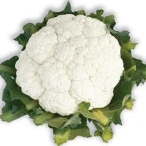 Cauliflower Indam-55 [HY] Vegetable Seeds