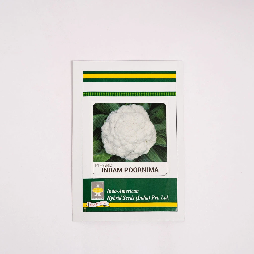 Cauliflower Indam-Poornima (HY) Vegetable Seeds 2 Cauliflower Indam-Poornima (HY) Vegetable Seeds - Image 2