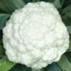 Cauliflower Indam-Poornima (HY) Vegetable Seeds