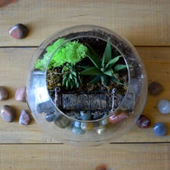 Into The Wild Terrarium Kit -Plant Life Decor Shop Into the wild 3