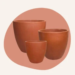 Set Of 3 Kornet Terracotta Pot