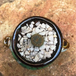 Lithops Pseudotruncatella Ssp. Dentritica Farinosa Living Stone Succulent Plant -Plant Life Decor Shop Lithops pseudotruncatella ssp. dentritica farinosa