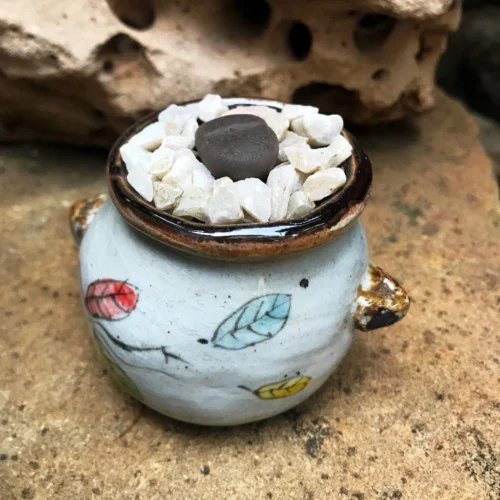 Lithops Lesliei Var. Venteri Living Stone Succulent Plant -Plant Life Decor Shop Lithopsleslieivar.venteri