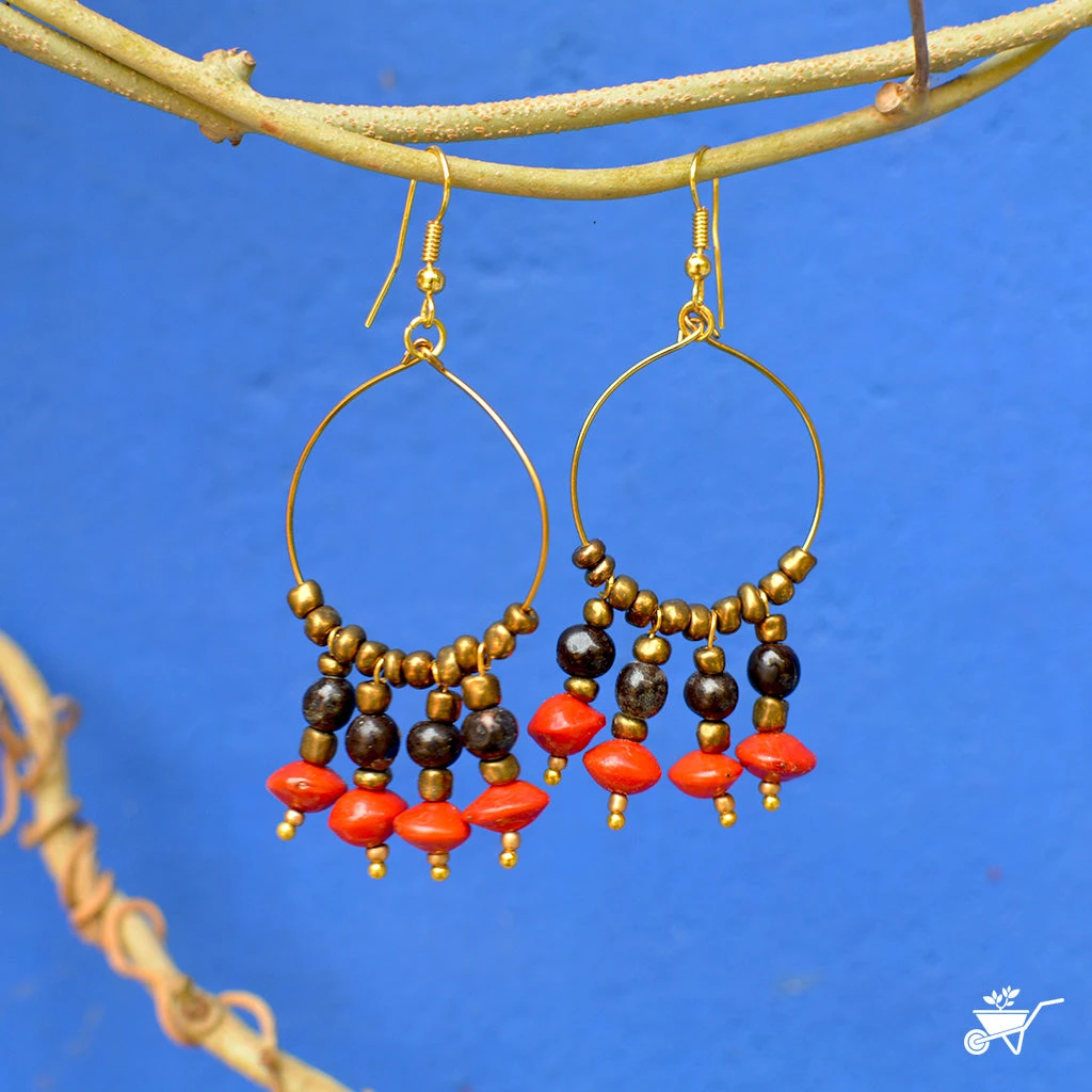 Luminescent Canna Dried Seed Earrings 1 Luminescent Canna Dried Seed Earrings