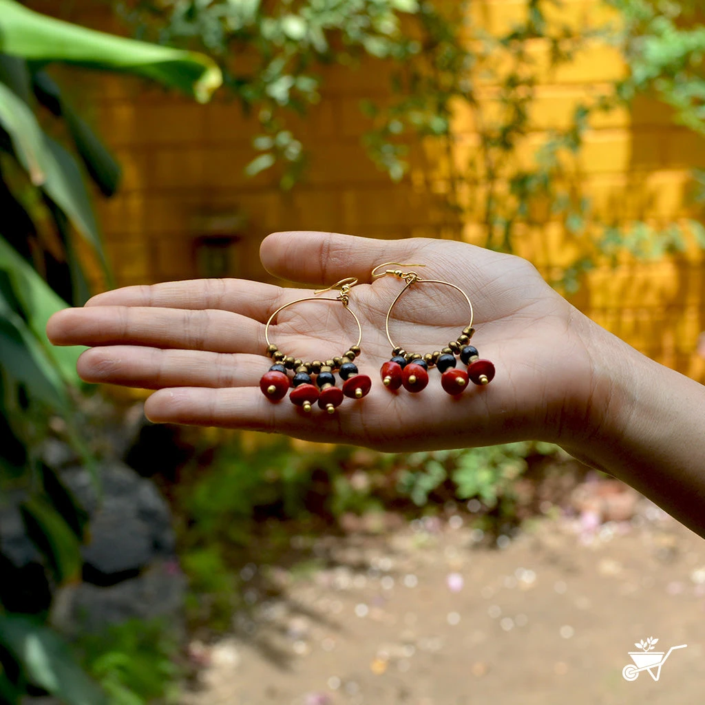 Luminescent Canna Dried Seed Earrings 2 Luminescent Canna Dried Seed Earrings - Image 2
