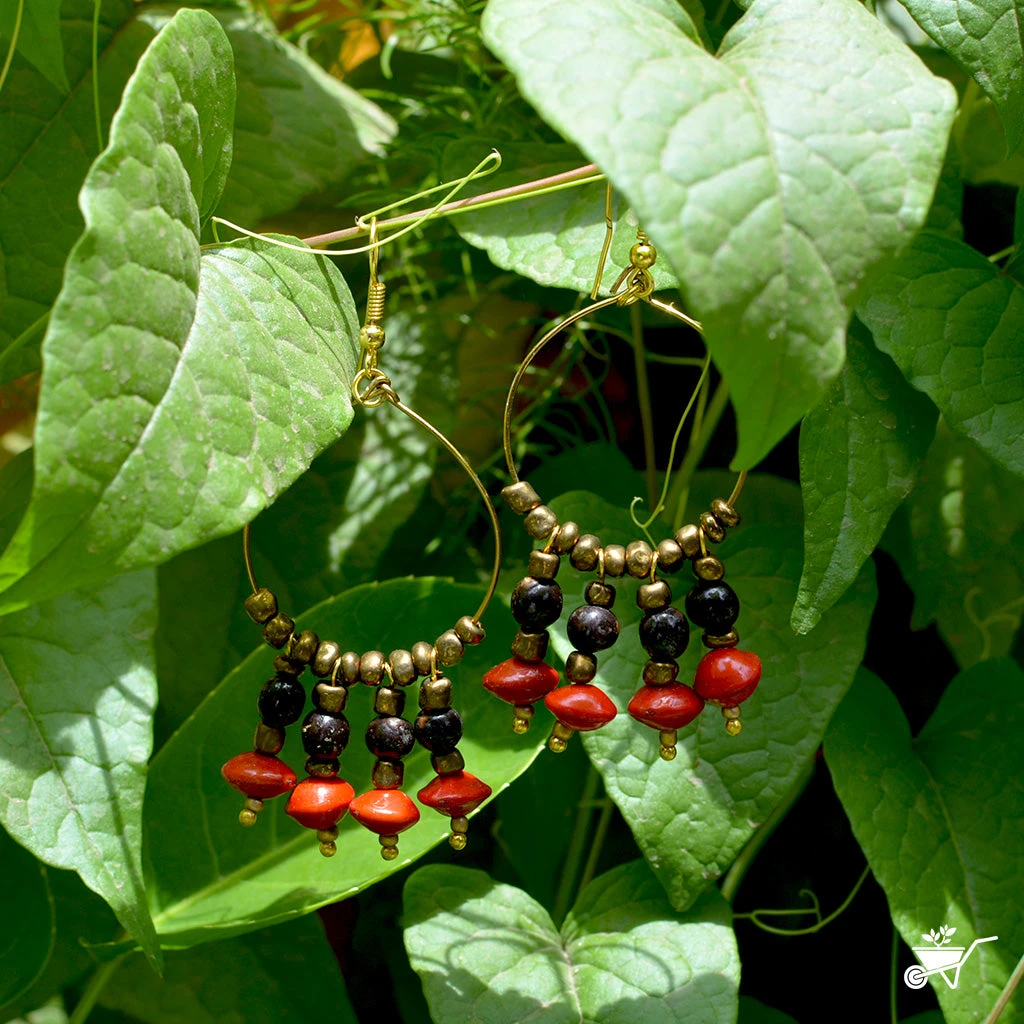 Luminescent Canna Dried Seed Earrings 3 Luminescent Canna Dried Seed Earrings - Image 3