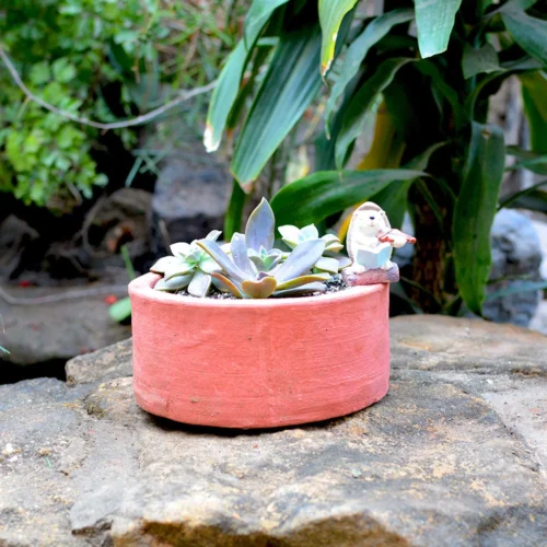Set Of 3 Medium Circular Terracotta Pot
