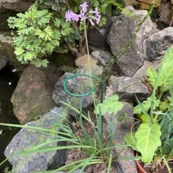 Plant Support Metal Garden Stakes- Set Of 5 -Plant Life Decor Shop MetalPlantSupportStick 2