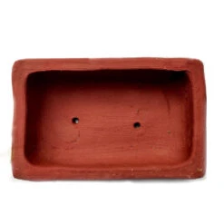 Set Of 4 Terracotta Grow Pot For Microgreens