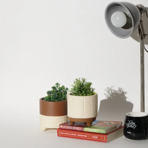 Mini Garden Terracotta Pot