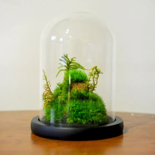 Mossy Mountain Preserved Flower Tabletop (with Gift Box) 7 Mossy Mountain Preserved Flower Tabletop (with Gift Box) -Plant Life Decor Shop Mossy Mountain 3