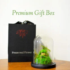 Mossy Mountain Preserved Flower Tabletop (with Gift Box) -Plant Life Decor Shop Mossy Mountain 5