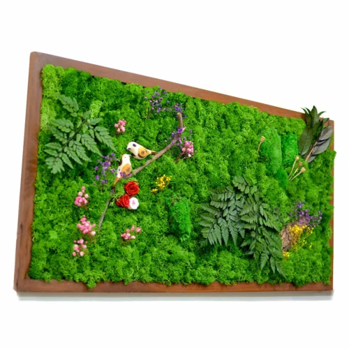 Nature's Trail Preserved Moss Frame With Dark Wood -Plant Life Decor Shop Natures trail 3