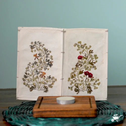 Nimble Umbrage Pressed Flower Candleshade 7 Nimble Umbrage Pressed Flower Candleshade -Plant Life Decor Shop Nimble Umbrage 4