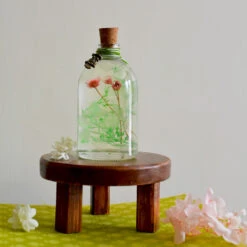 Pallet Of Syngonium Preserved Flower Tabletop -Plant Life Decor Shop Pallet of syngonium dish 1