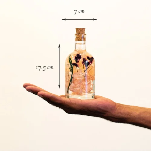 Set Of Fused Trinary Tabletop Decor 7 Set Of Fused Trinary Tabletop Decor -Plant Life Decor Shop Peachy Peep 2 59d50a9d de12 4fd2 a90e 91453ad5ccc3