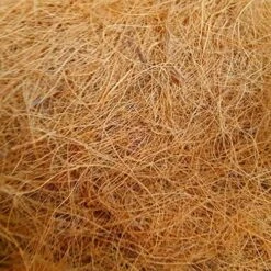 Coir Fibre