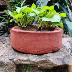 Set Of 2 Plain Circular Terracotta Pot -Plant Life Decor Shop Plain Circular 5
