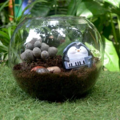 Miniature Penguin On Keyboard – Cute Resin Decor For Gifts & Gardens 7 Miniature Penguin On Keyboard – Cute Resin Decor For Gifts & Gardens -Plant Life Decor Shop Plump Penguin Playing Keyboard 4