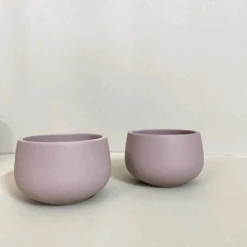 Set Of 2 Prato Terracotta Pot