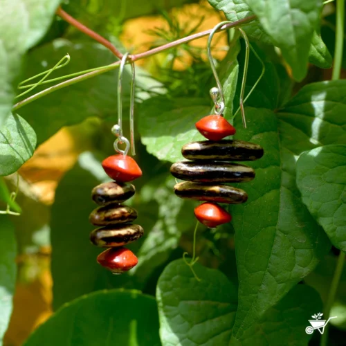 Prolix Denolix Dried Seed Earrings 5 Prolix Denolix Dried Seed Earrings -Plant Life Decor Shop Prolix Delonix 1