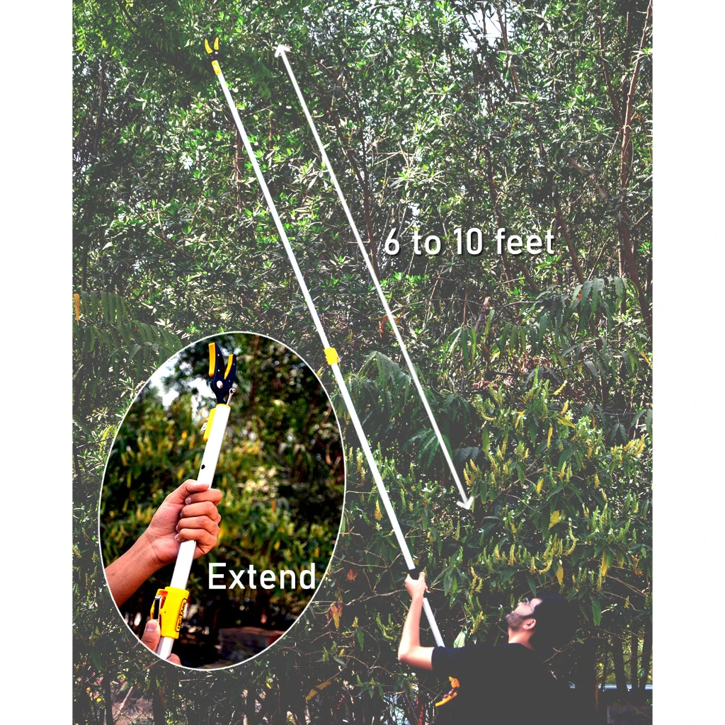 Hectare Telescopic Long Reach Cut And Hold Pruner And Fruit Picker With Saw 2 Hectare Telescopic Long Reach Cut And Hold Pruner And Fruit Picker With Saw - Image 2